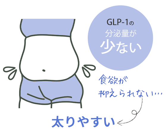 GLP-1分泌量が少ない
