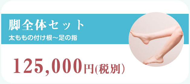 脚全体セット