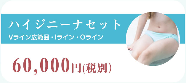 ハイジニーナセット