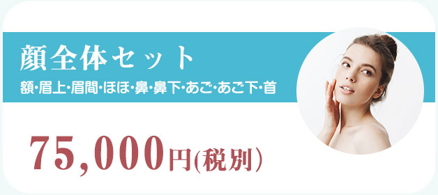 顔全体セット