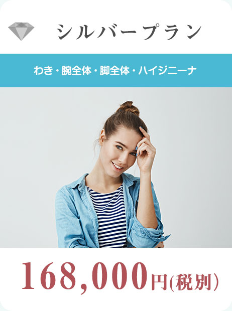 シルバープラン
