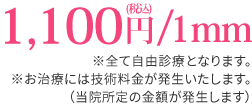 1,100円/1mm(税込)