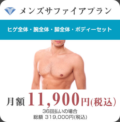 メンズサファイアプラン