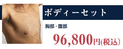 ボディーセット